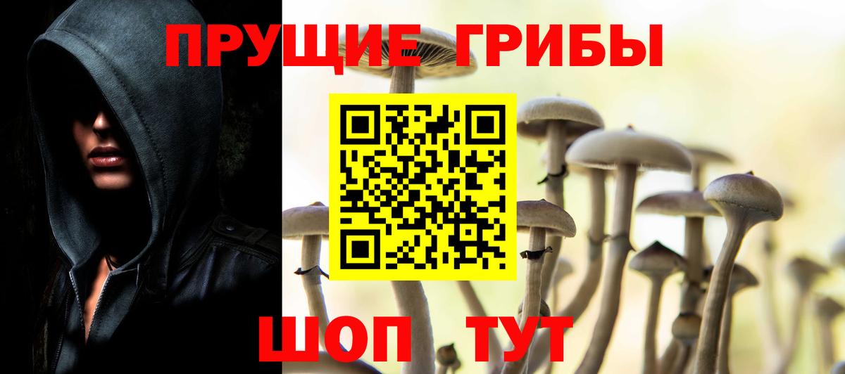 Новодвинск  Псилоцибиновые грибы MAGIC MUSHROOMS  Вход с VPN 